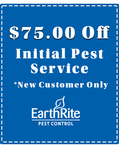 Initial Pest Service new